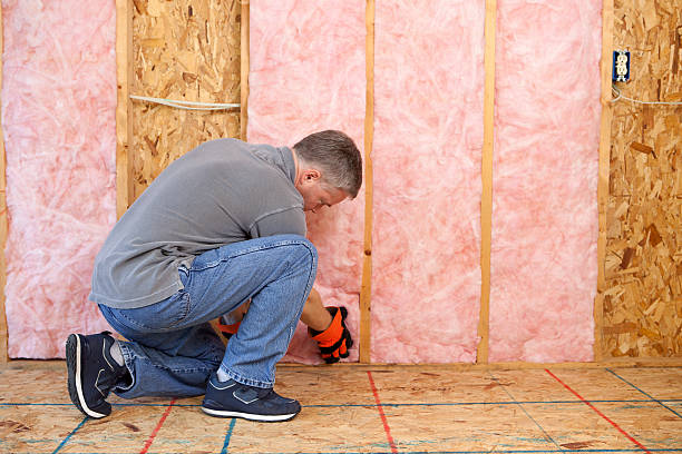 Insulation Inspection Services in Annandale, MN